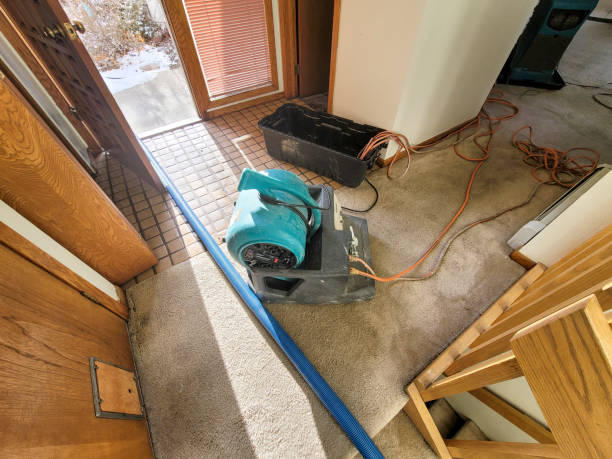  Romulus, MI Water damage restoration Pros