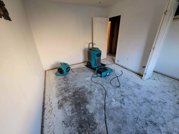 Best 24-hour water damage restoration  in Romulus, MI