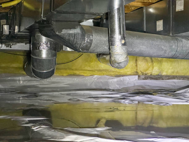 Best Emergency water damage restoration  in Romulus, MI