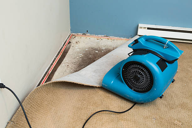  Romulus, MI Water damage restoration Pros