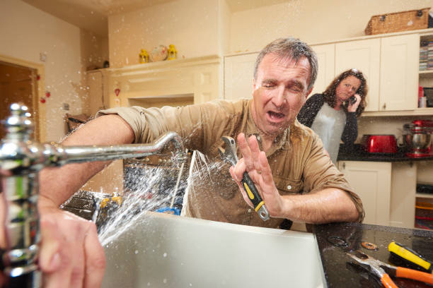 Best Sewage cleanup and water damage restoration  in Romulus, MI